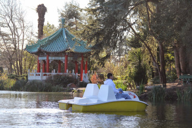 Blue Heron Boathouse - Blue Heron Boathouse