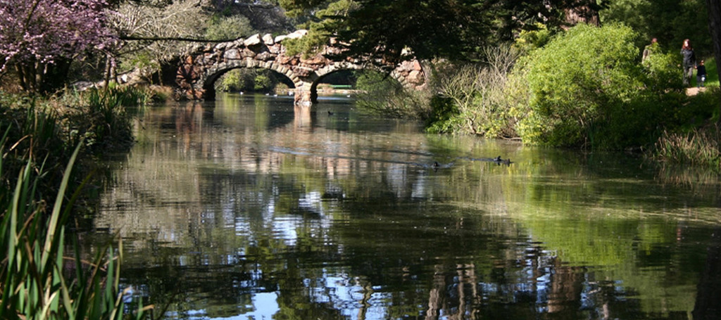 Blue Heron Boathouse